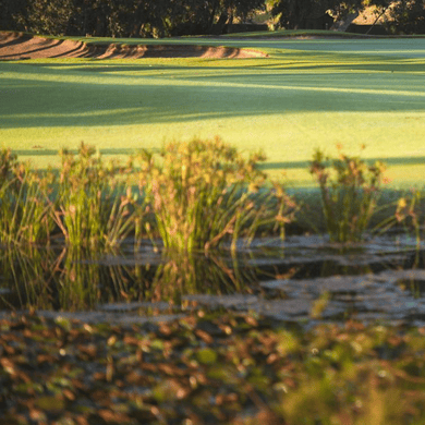 Royal Cape Golf Club