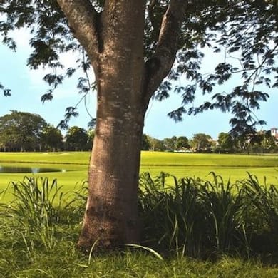 Buenaventura Golf Club
