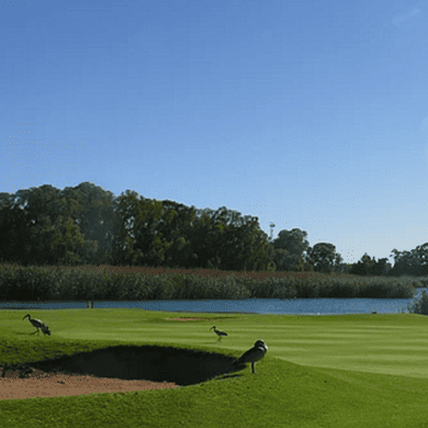 Germiston Golf Club
