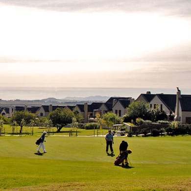Devonvale Golf and Wine Estate