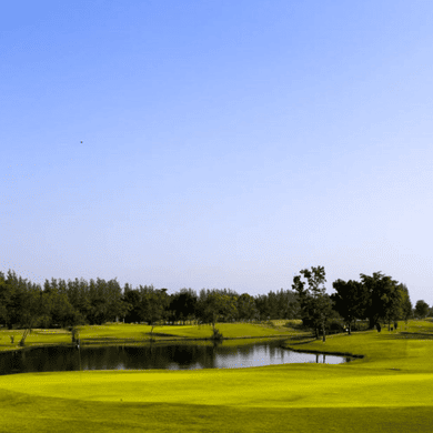 The Pine Golf & Lodge