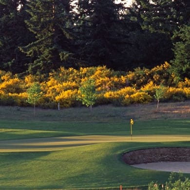 The Home Course (DuPont-Weyerhaeuser)