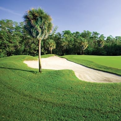 Crandon Golf at Key Biscayne