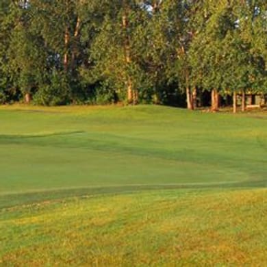 Heron Lakes Golf Club (Greenback)