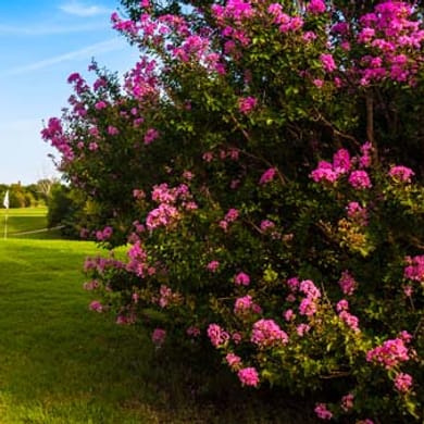 Earlywine Golf Course (North)