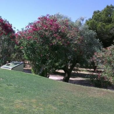 Villamartin Golf Club