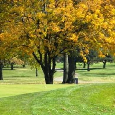 Rackham Golf Course