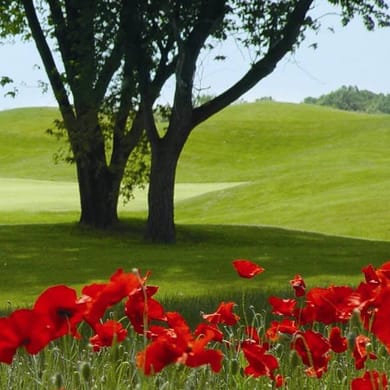 Sanctuary Lake Golf Course