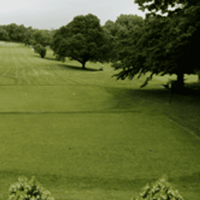 Forest Park Golf Course