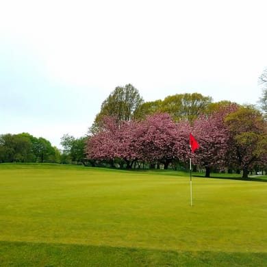 Clearview Park Golf Course