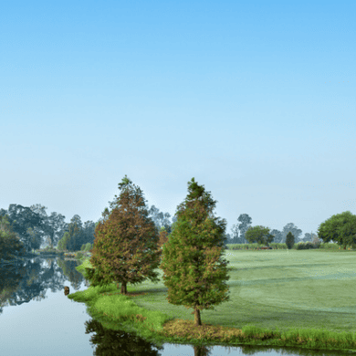 The Island Country Club