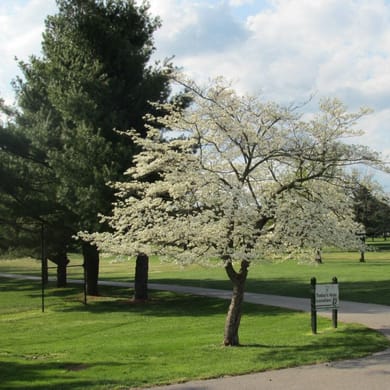 Gay Brewer Jr Course at Picadome