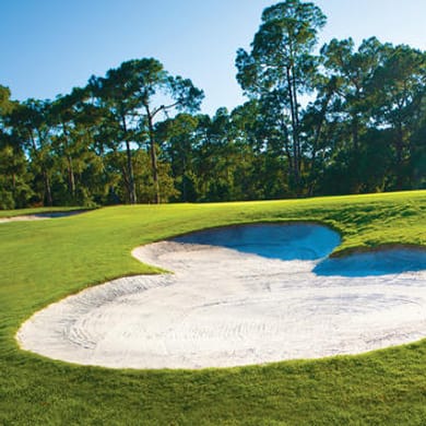 Walt Disney World Resort (Magnolia)