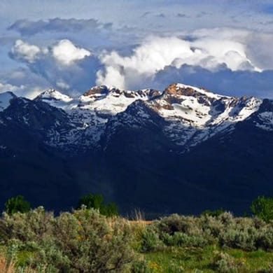 Spring Creek Golf Course
