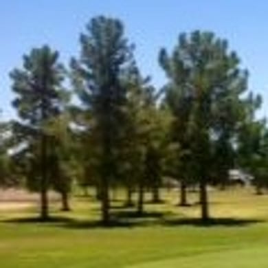 Lake View Executive Golf Course