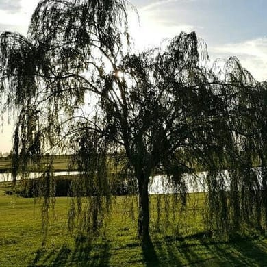 Trisquelia Golf Club