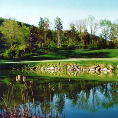 Crystal Springs Resort - Black Bear