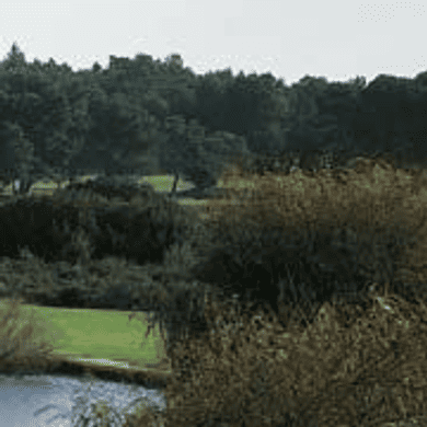 Golf de Saint Thomas