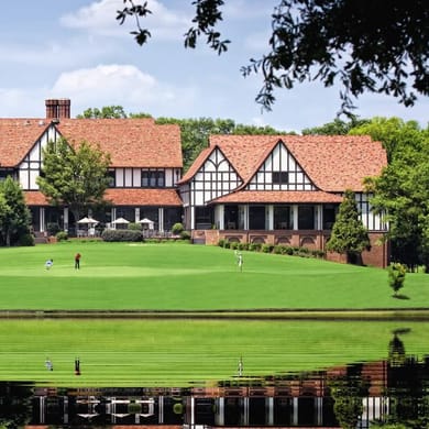 Cattails at Meadow View Golf Course