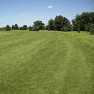 Buffalo Ridge Golf Course