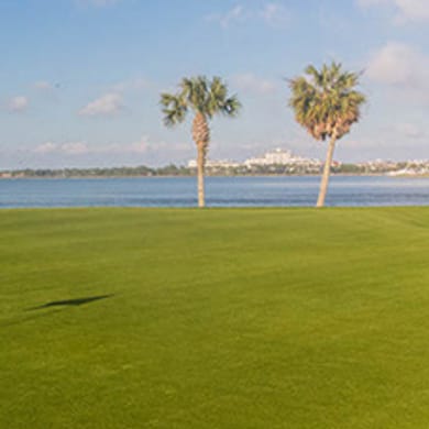 Sandestin Golf & Beach Resort (The Links)