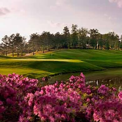 RTJ Golf Trail at Ross Bridge