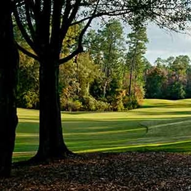 RTJ Golf Trail at Magnolia Grove (Falls)