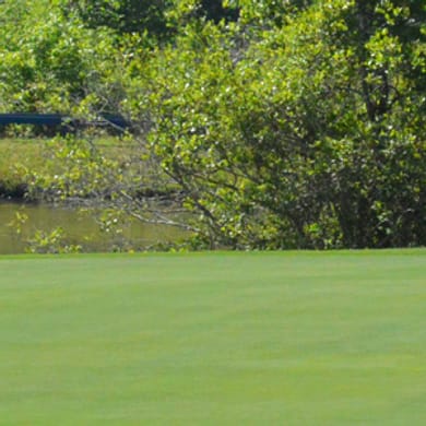 Bull Creek Golf Course (East)