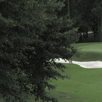 Timberline Golf Club