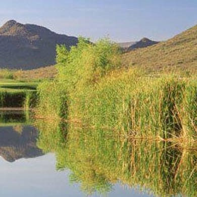 Dove Valley Ranch Golf Club