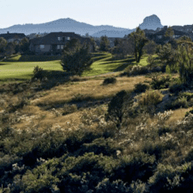 The Club at Prescott Lakes