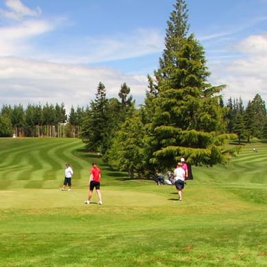 Waimate Golf Club