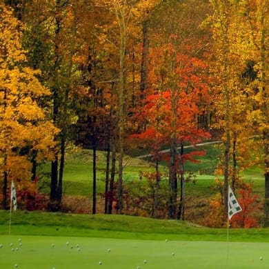 The Resort at Glade Springs (Cobb)