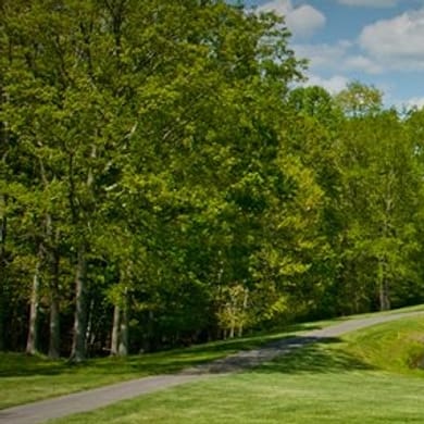 The Resort at Glade Springs (Woodhaven)