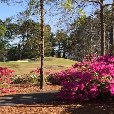 River Oaks Golf Club