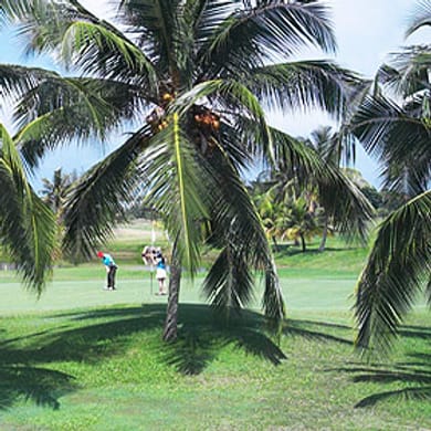 Dickson Bay Golf Resort