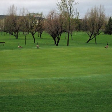 Ray Richards Golf Course