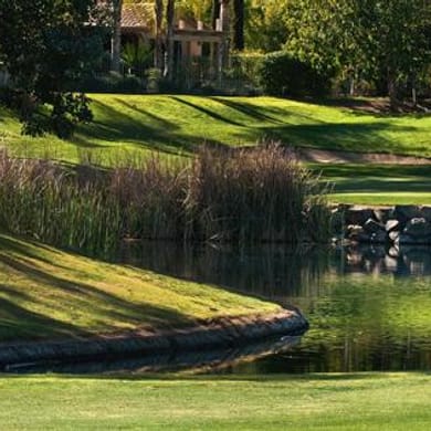 The Vineyard at Escondido