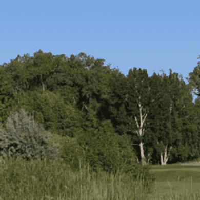 The Links Golf Course