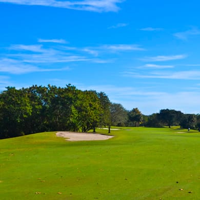 Mangrove Bay Golf Course