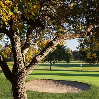 Dryden Park Golf Course