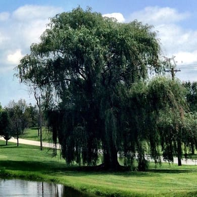 Pickering Valley Golf Club