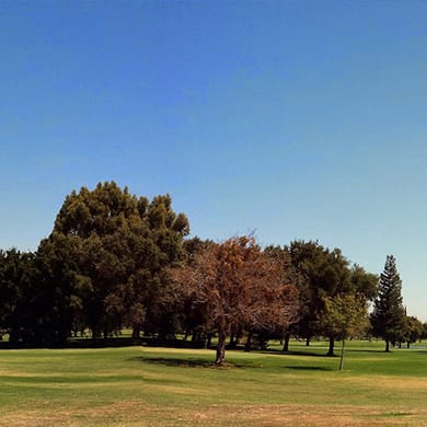 Manteca Park Golf Course