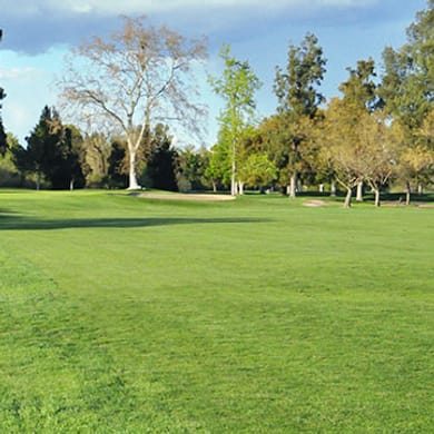 Haggin Oaks Golf Complex (Alister MacKenzie)