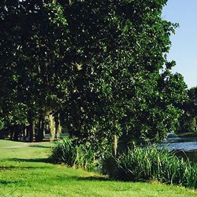 Sharpstown Park Golf Course