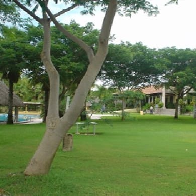 Club de Golf La Primavera