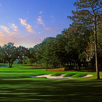 Ocala National Golf Club