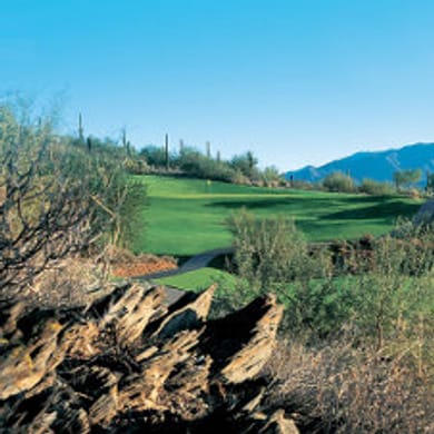 Rancho Mañana Golf Club