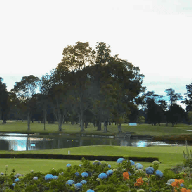 Country Club de Bogotá (Pacos y Fabios)