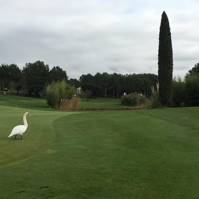 Golf International de Pont Royal (Ballesteros)